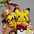 (주)루리소프트 | 【포켓몬스터SV】 최강의 리자돈(리자몽) 테라레이드 공략 후기