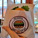 초원게스트 | 춘천 해피초원목장 | 뚜벅이로 즐기기 🐮 포토존 추천 📸 한우버거 후기 🍔