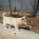 이화농장3 이미지