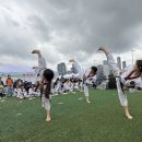 강철태권도 이미지