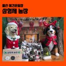 형제농장 | 울산 애견운동장 추천 비 오는 날도 가능한 울주 독채 삼형제농장 후기