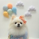 올리스 일산백석점 이미지