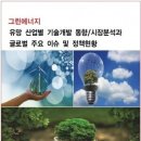 《시장보고서》 그린에너지 유망 산업별 기술개발 동향/시장분석과 글로벌 주요 이슈 및 정책현황 이미지