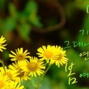 원주시청 이미지