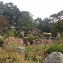 덕양민박 이미지