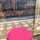 (펜션)경주 칠불암 한옥펜션 다녀온 후기입니다~^^