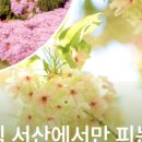 만사목장 이미지