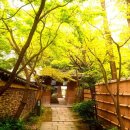 (주)넥스트다인 | 후쿠오카 단독투어 2026 후기 | 부모님 효도여행 필수 + 내 맘대로 짜는 1일 맞춤 코스 총정리