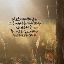 선캘리