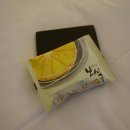 제주 스탠다드 이미지