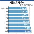 추이추이 이미지