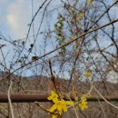 구룡자동차야영장(치악산국립공원) 이미지