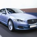 막심이네-수입 이미지