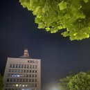 그린빠스타