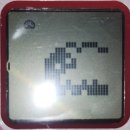 마이리틀펫 이미지