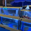 노상횟집 이미지