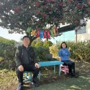 미니버스 | 제주도 기사포함 미니버스 렌트 후기 ㅣ 단체관광 예약 전 꼭 읽어보세요
