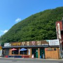 부흥횟집 | 동해여행 : 묵호항 물회맛집 ‘부흥횟집’ (웨이팅 후기/내돈내산)