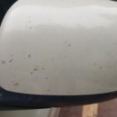 산호동230 이미지