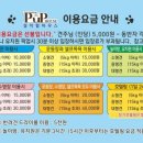 조이 애견 유치원 이미지