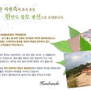 한반도펜션 - 양구군 성곡로 167-24 | 한반도펜션