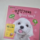초록마을 (익산어양점) | 익산 어린이서점 "책나라" 그레이스북스 자연관찰 구매후기.