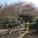 금곡가든 이미지