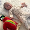 지우태양광 | 159일차에 쓰는 임솔이 탐구일지 (뒤집기 안하는 아기)