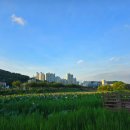 들성생태공원 이미지