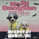 댕댕이 컷 | 댕댕이 할로윈 파티 🎃 놀이댕산 나이트 | 오산 반려동물 테마파크 행사 내돈내산 후기
