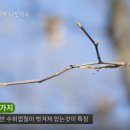 숲노리누리협동조합
