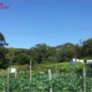 인천광역시 강화군 삼산면사무소 이미지