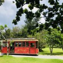 낭만하우스 이미지