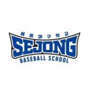 세종베이스볼
