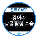 강동24시SKY 동물병원 이미지