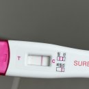 ㈜리더결혼정보 | 임신 3~4주차｜스마일리더·슈얼리·원포 임테기 역전부터 아기집 확인까지