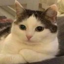 로또명당 로그인 이미지