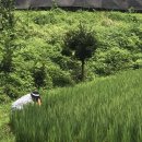 삼백기지떡