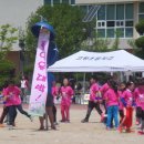 고령초교병설유치원 이미지