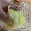 송푸르타 네이버블로그