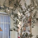 채식향기 | [전주 브런치 맛집] 향기로운 올리브유가 잘어울리는 메뉴가 한가득인 "올리빈"