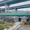 금공농장 네이버블로그