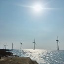 판포초등학교 이미지