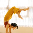 the Fitness LAB | [공지] “어떤 요가가 나에게 맞을까?” : 요가스테 선생님들의 수업 스타일을 소개합니다
