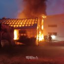 세종사료 이미지