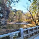 은해사 벚꽃길 이미지