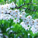 장수양봉원 이미지