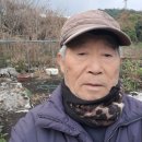 판매자갱신신청합니다 이미지