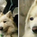 1인 세신샵 린 이미지