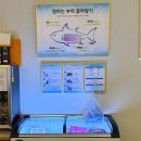 제주의별밤 | [제주 별밤참치] 가성비 좋고 맛있는 제주시 참치 맛집